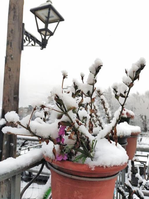 Casa Rural Magi Arfa Buitenkant foto